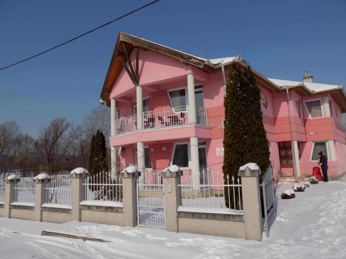 Liget Apartmanhaz Kehidakustány Exterior foto